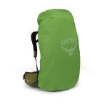 Batoh Osprey ATMOS AG LT 65 scenic valley/green peppercorn L/XL